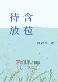 ) 作者风铃草著