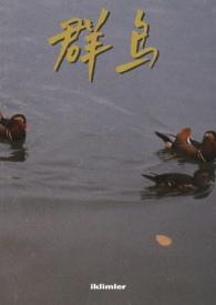 群鸟飞天太阳出是什么生肖