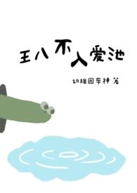 王八不入爱池阅读