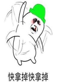 满朝文武皆绿你npc