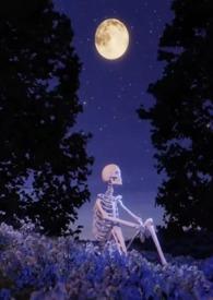 莺莺燕燕是什么鬼