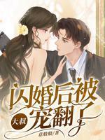 闪婚大叔超暖甜