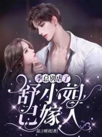 舒小姐已嫁人番外