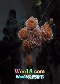 壁垒骨科np(江至疏)全文阅读_