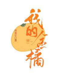 我的金桔歌词含义