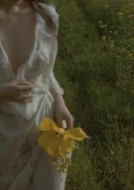 电视剧火玫瑰同名