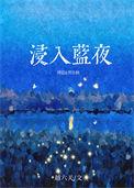 浸入蓝夜 越六关txt