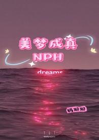 美梦成真txt在线阅读