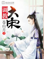 调教大宋起点