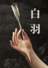 白羽txt