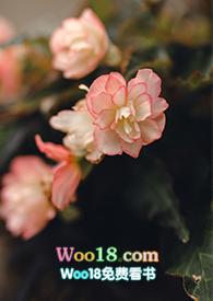 游园惊梦鉴赏