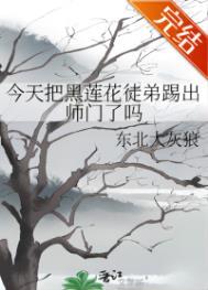今天黑莲花没有洗白