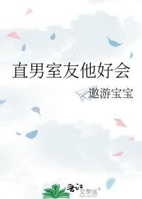 室友他直男斩格格党