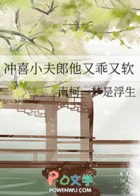 冲喜小夫郎风既许安