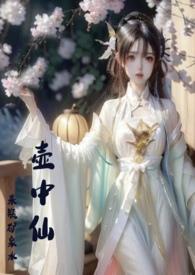 壶中仙银币价格