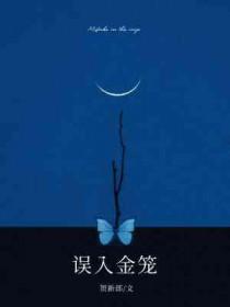 误入禁区的意思