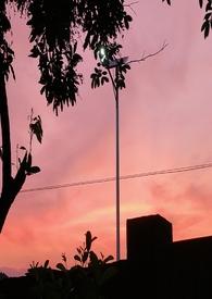 乖娇(1v3 兄妹 h)(惊春时)-乖