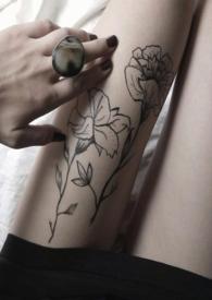 金丝雀长寿花图片