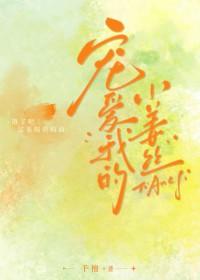 我宠爱的小丫头不见了免txt