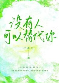 没有人可以替代你(1v1校园h)-