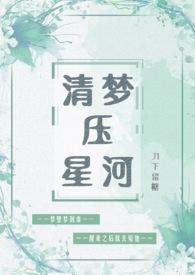 醉后不知天在水一船清梦压星河