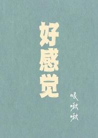 好感觉是什么意思