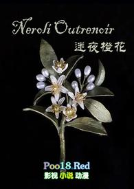 迷夜什么意思