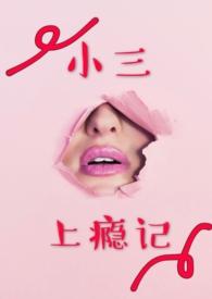小三上瘾记不可注册完结
