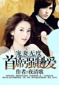 宠妻成瘾霸道首席强制爱