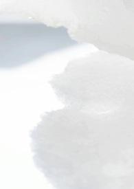 (校园)骨科病娇