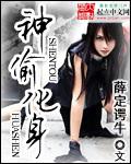 神偷化身续集