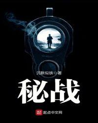 密战电视剧全集剧情介绍
