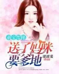 萌宝驾到拐个爹地送妈咪简介