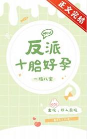 反派十胎好孕番外墨艾艾艾艾