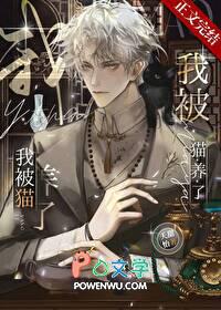 养猫被猫抓怎么办