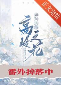 高岭之花攻略