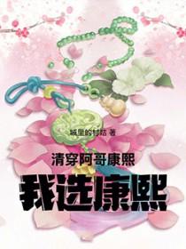 清穿之康熙九阿哥