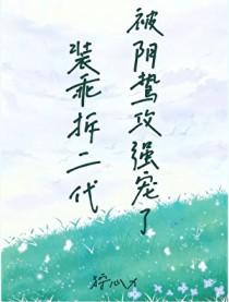 装乖ao3