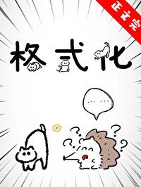 格式化英语怎么写