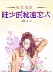 电视剧独宠旧爱陆少的秘密恋人