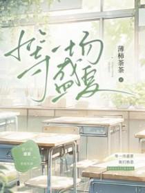 等待盛夏在何处