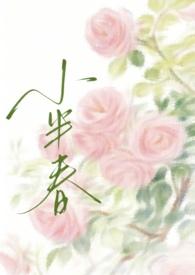 小半春txt