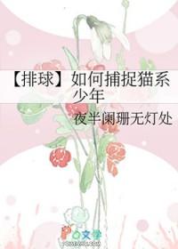 排球少年 mappa