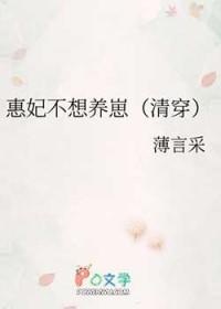 清穿惠妃养儿