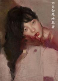 不外如是近义词