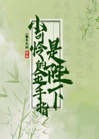小可怜手手握爽文剧本txt