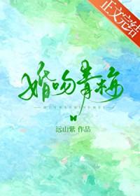 婚吻青梅明枝迟砚川免费阅读番外