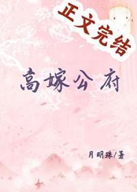 高嫁公府月明珠