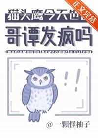 猫头鹰 english
