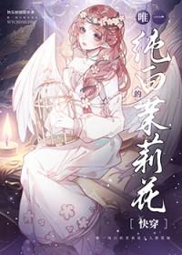 纯白茉莉花歌词